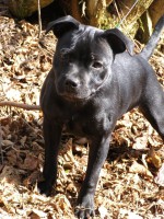 /album/perunstaff-atropos-pride-viky/a007-jpg/