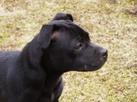 /album/perunstaff-atropos-pride-viky/a008-jpg/