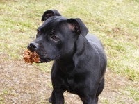 /album/perunstaff-atropos-pride-viky/p1010020-jpg/