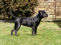 /album/perunstaff-atropos-pride-viky/p1010022-jpg/