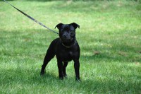 /album/perunstaff-atropos-pride-viky/dsc-0455-jpg/