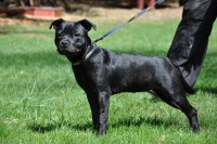 /album/perunstaff-atropos-pride-viky/dsc-0467-jpg/