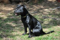 /album/perunstaff-atropos-pride-viky/dsc-0720-jpg/