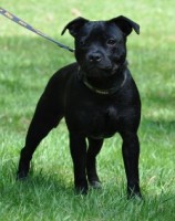 /album/perunstaff-atropos-pride-viky/med-5182914a55d51-jpg1/