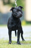 /album/perunstaff-atropos-pride-viky/img-9950-jpg/