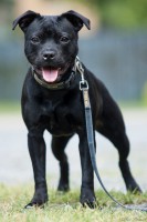 /album/perunstaff-atropos-pride-viky/vikip-jpg/